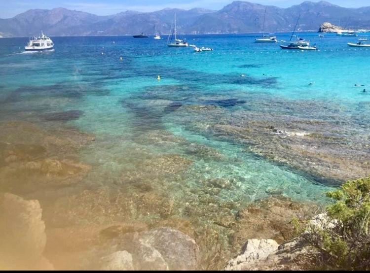 Villa Le Corail Rouge Corse Lecci Buitenkant foto