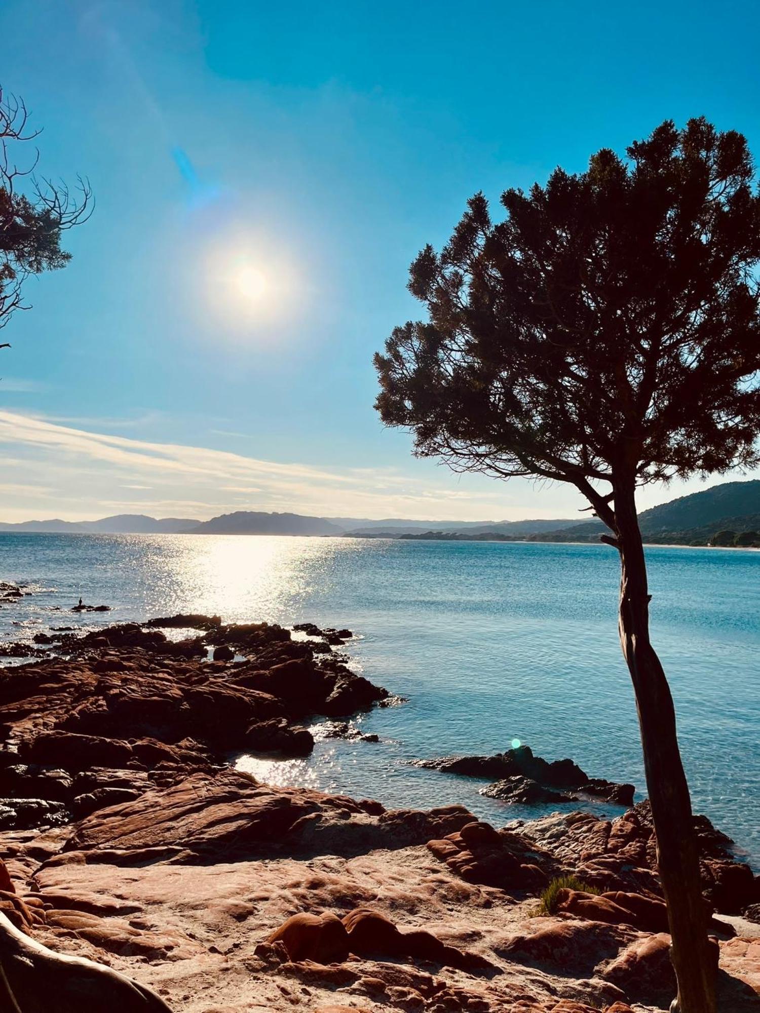 Villa Le Corail Rouge Corse Lecci Buitenkant foto