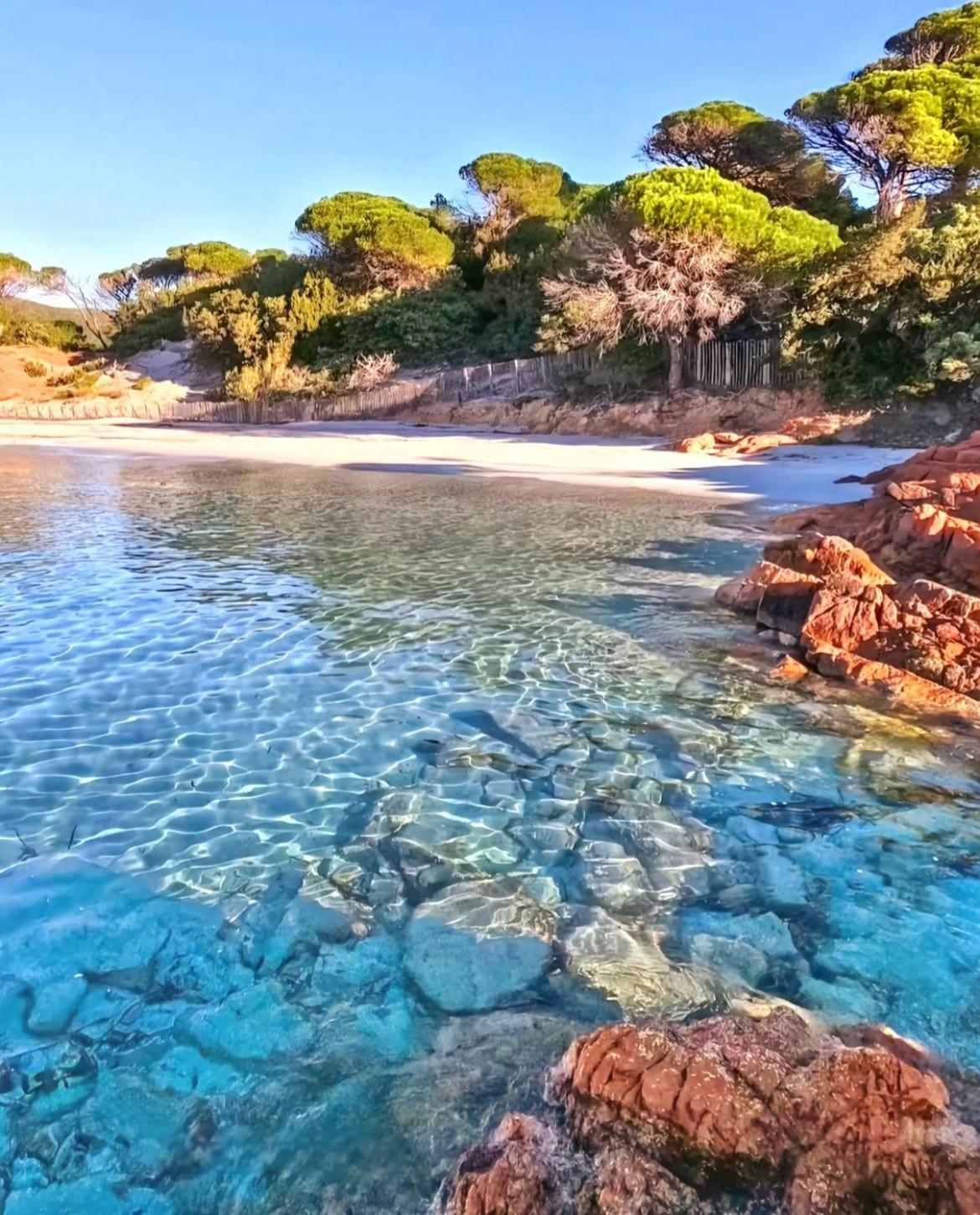 Villa Le Corail Rouge Corse Lecci Buitenkant foto