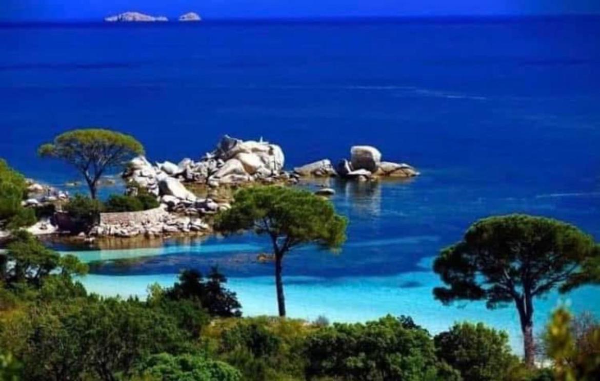 Villa Le Corail Rouge Corse Lecci Buitenkant foto